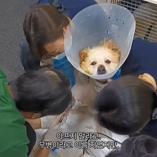 33a029b6848ef.png