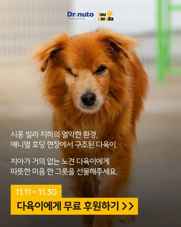 35e3b6752a3b6.png