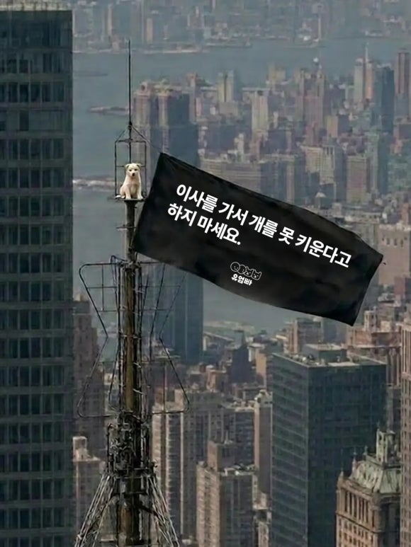 36058c6b44657.png
