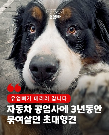 3682902d73c59.png