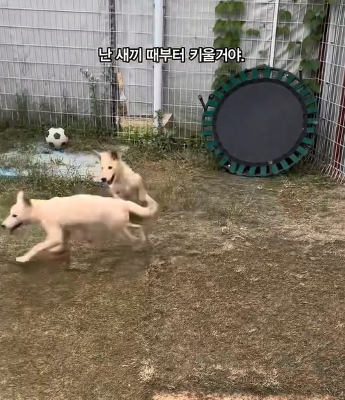 36f38d34b7c3a.png