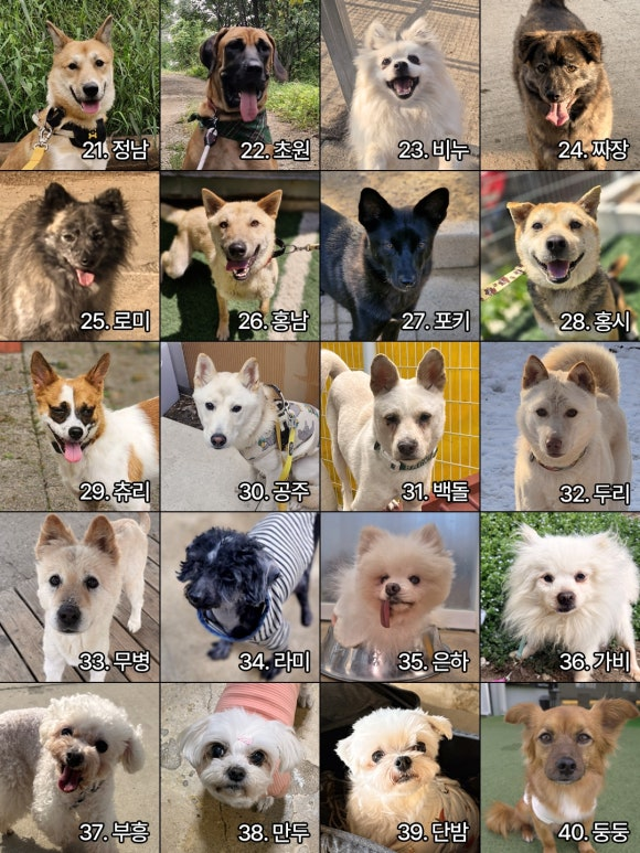 457e0347e0d49.png