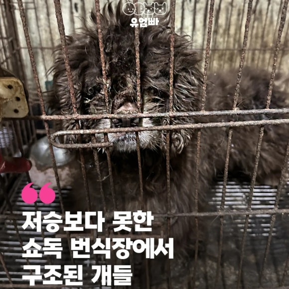 45c602fee1a7e.png