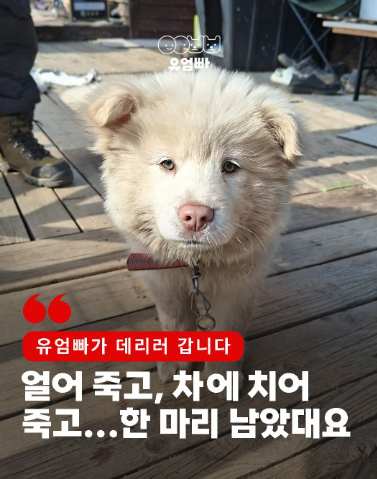 472d8095cc3d4.png
