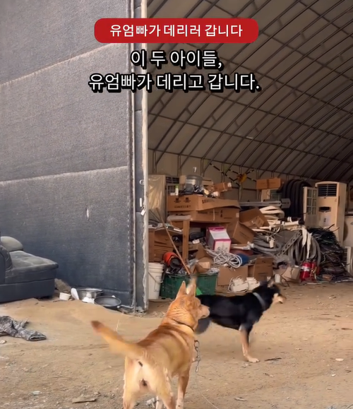 4a22e473456a1.png