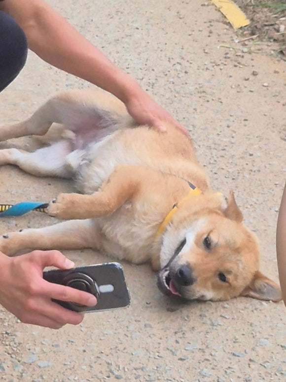 4a505d0a034e6.png