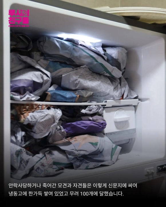 4ba614316d556.png