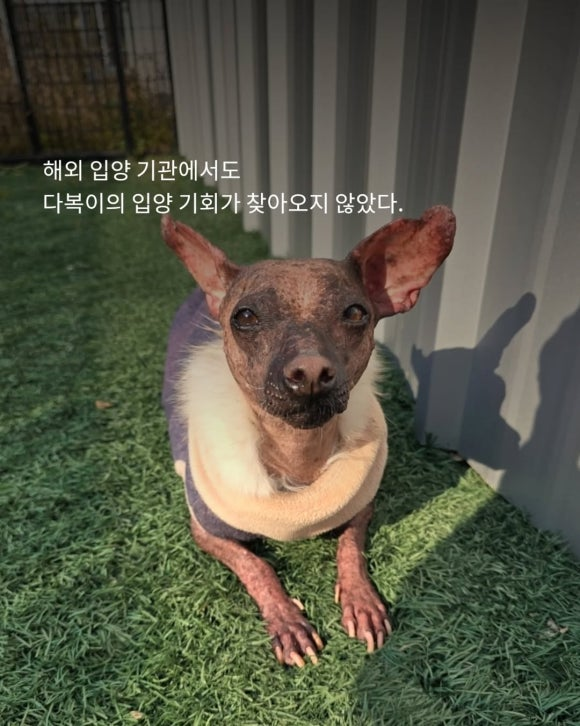 4d9d5b847cf47.png