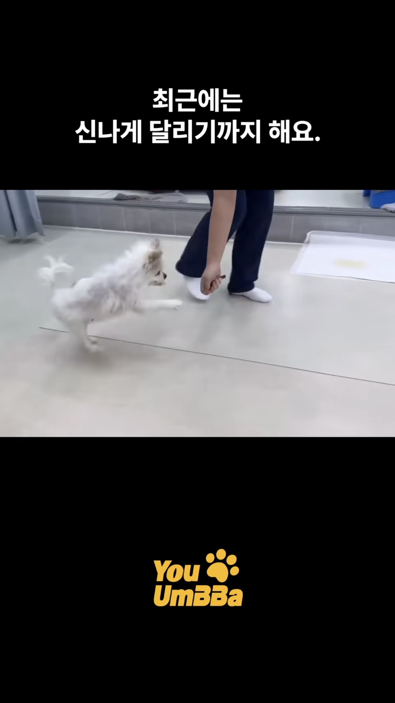 50f2173e3b2f0.jpg