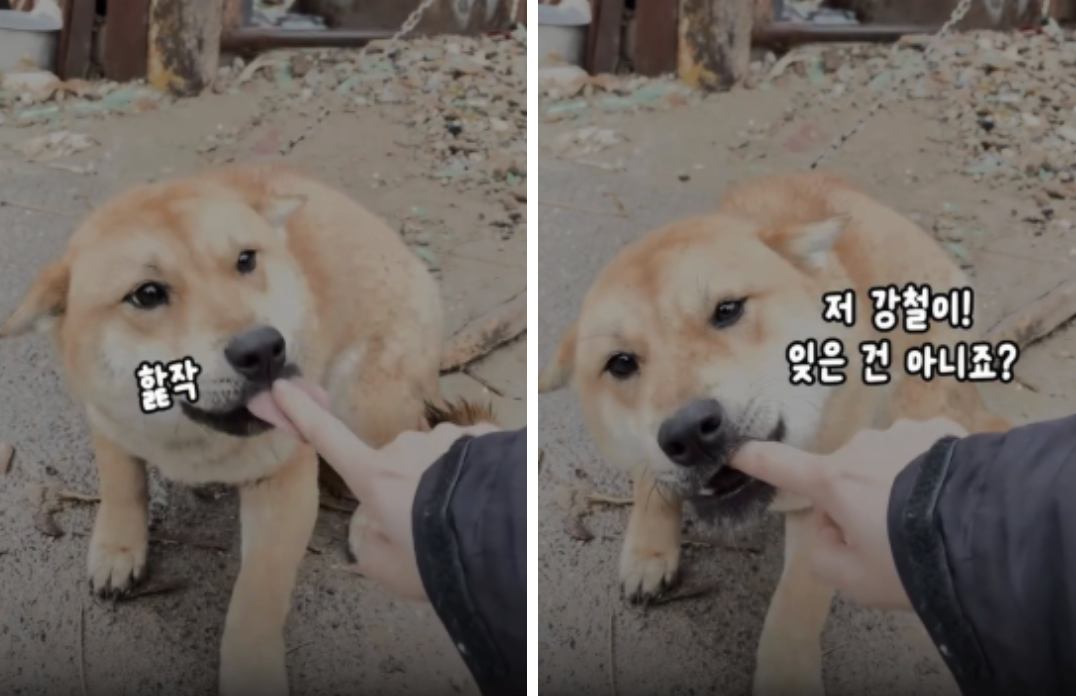 54193e4da3a5f.png