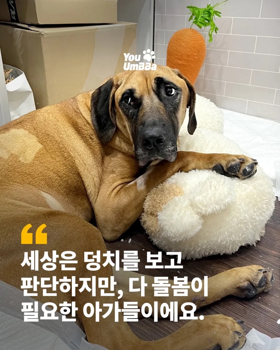 54cdc5ffe0c1a.jpeg