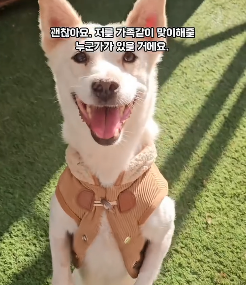 551d2373cebfe.png