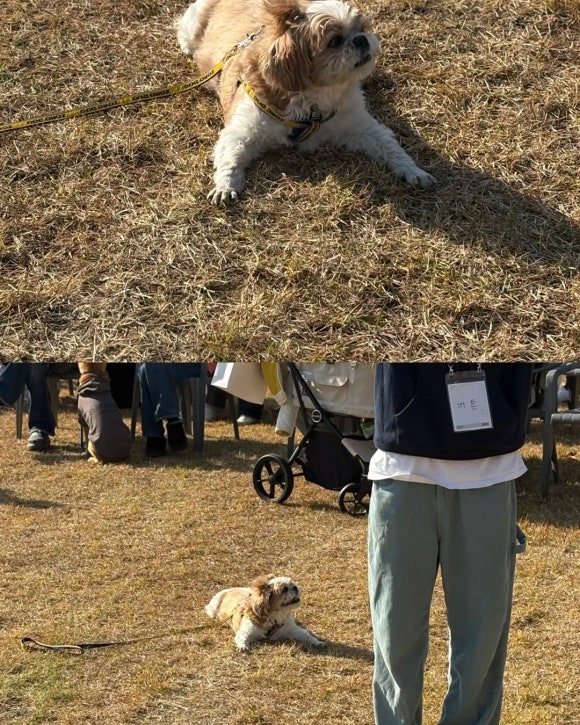 63493394f453d.png