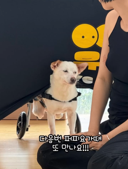 656b963721e09.png