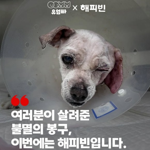 66d6a94ca4959.png
