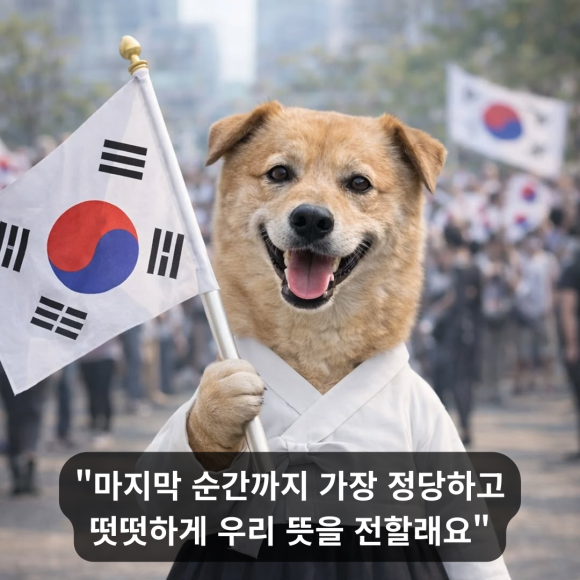 677e3616f9dc9.png