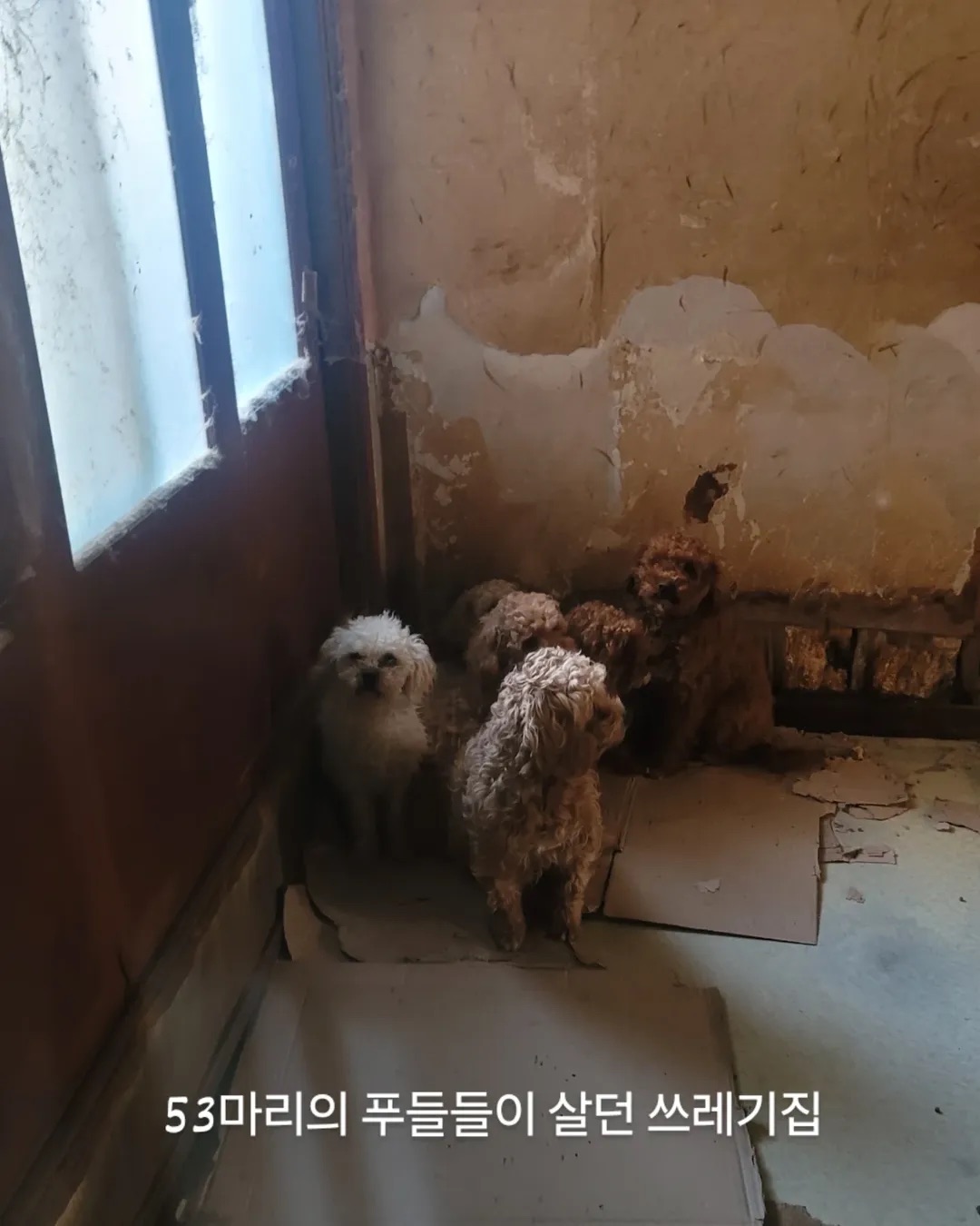 67d60078fb3a4.jpeg