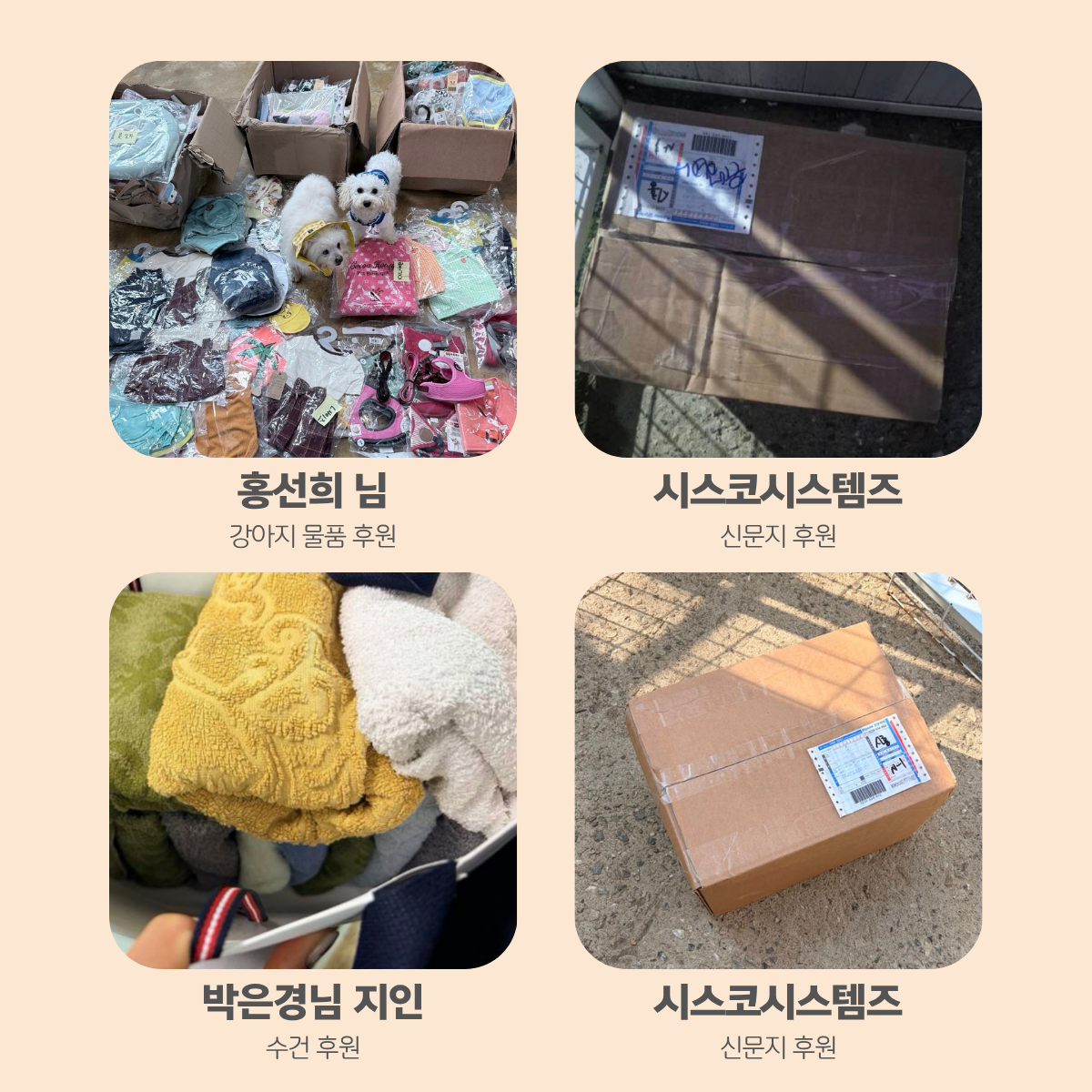 6c184981ab44e.png