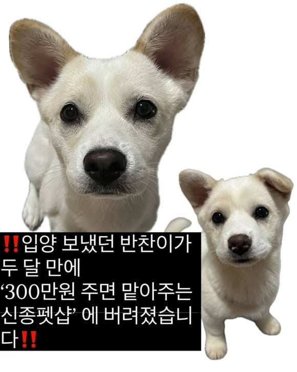 6ef039b141ff9.png