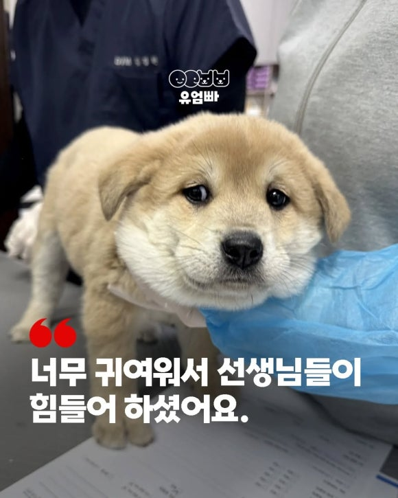 70249fb33fc18.png