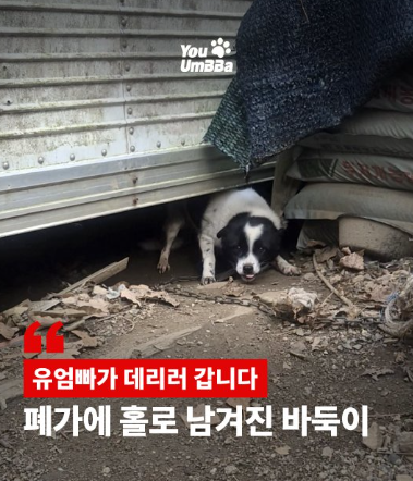 71e8c5ef05077.png