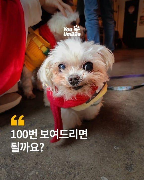 725b68d900601.png