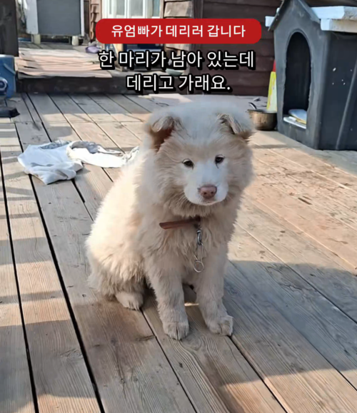 72836a33ca275.png