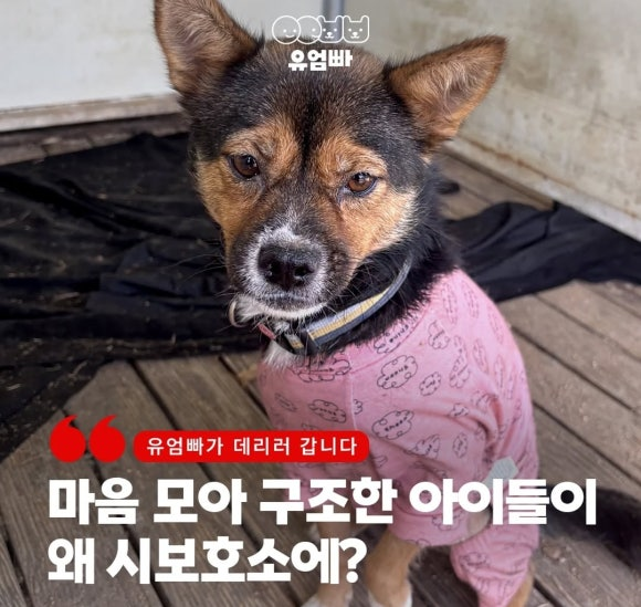 72b6cb7a97070.png