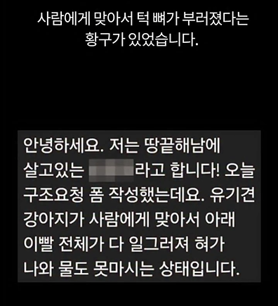 73ccf4447c418.png