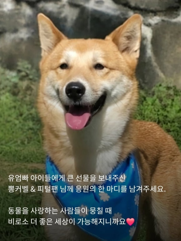 7cc71b3ea33e4.png