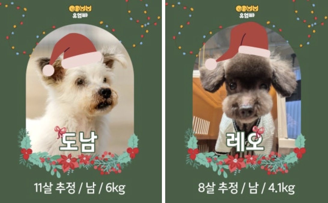 7ceefd01776ab.png