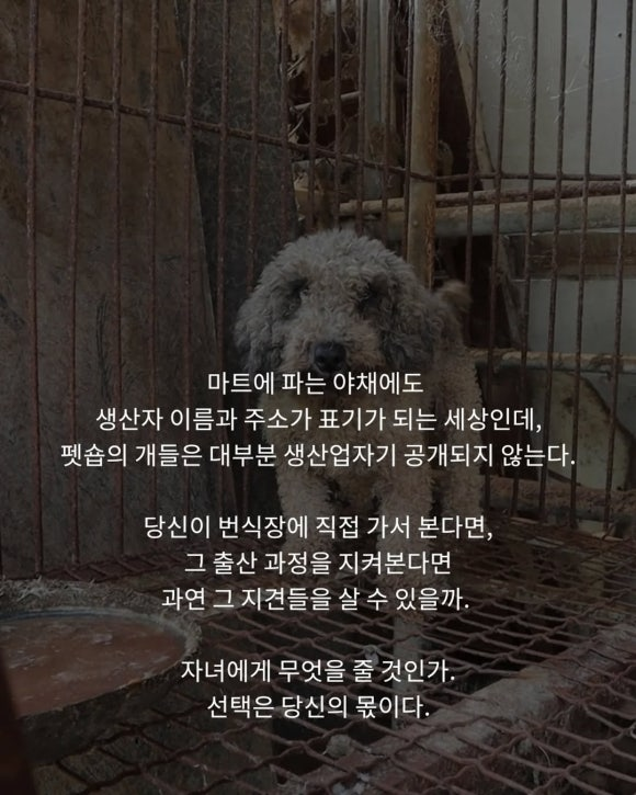 7d87f394ab854.png