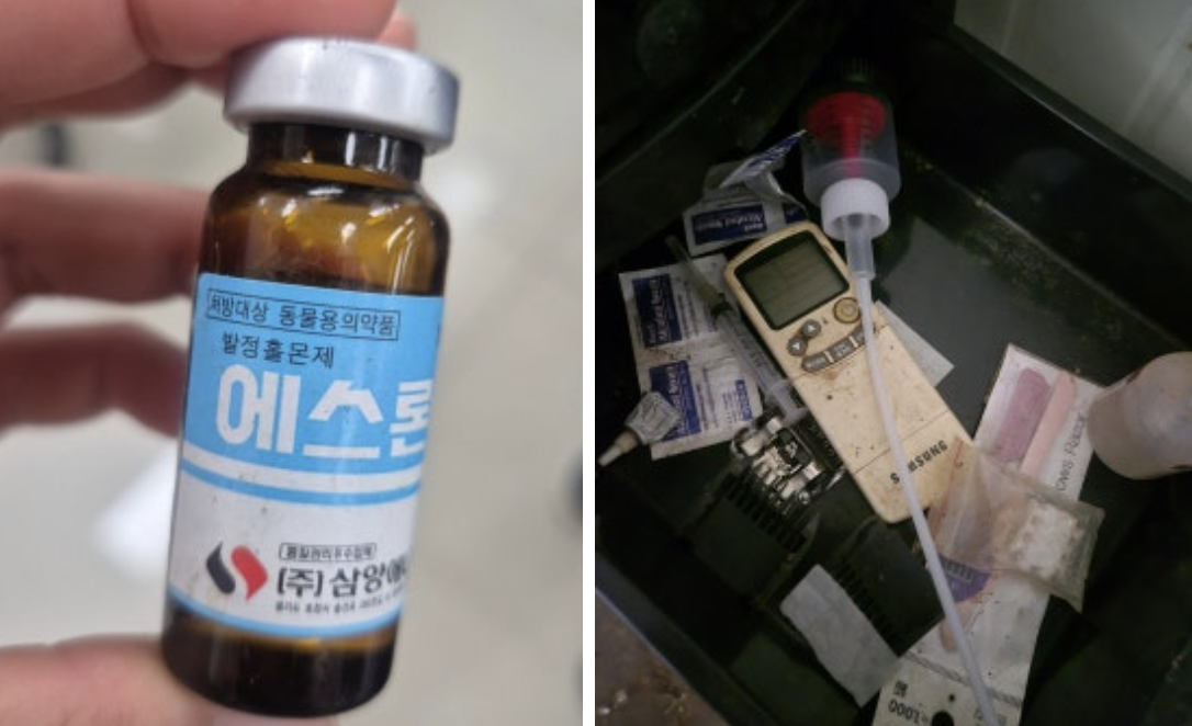7dce59888abae.png