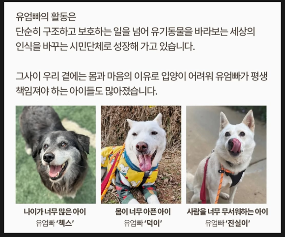 81c808a76d735.png