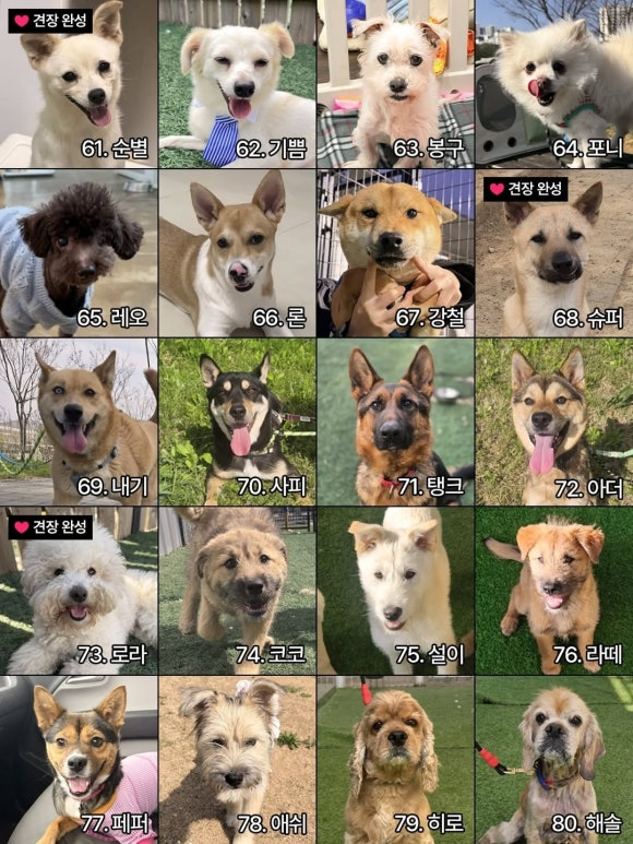 82acb54a90ce9.png