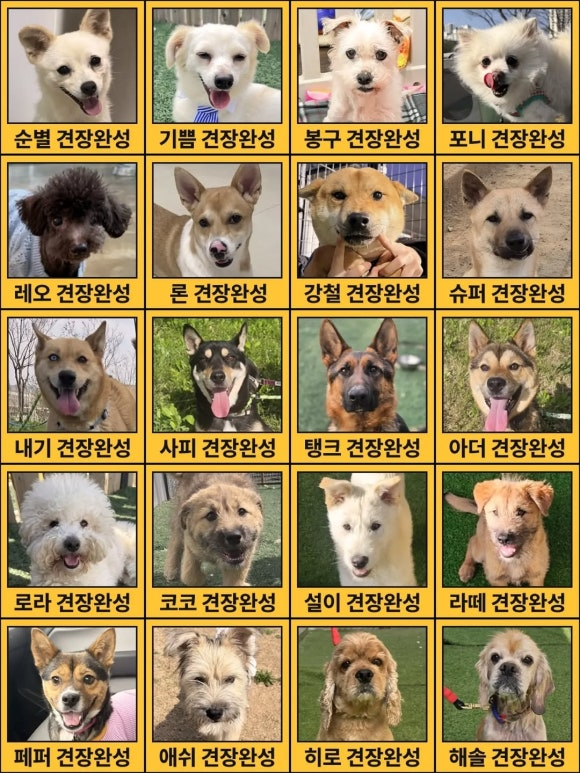 8763878d8b86a.png