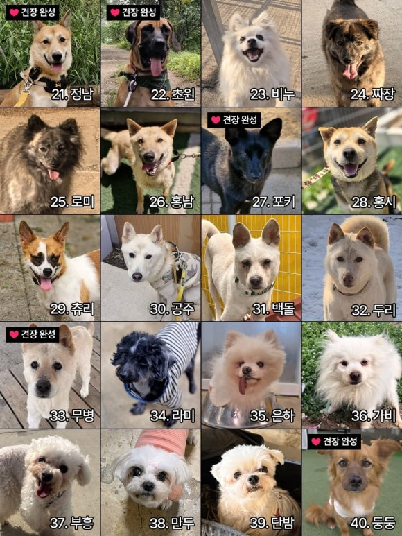 87f3c99850cc8.png