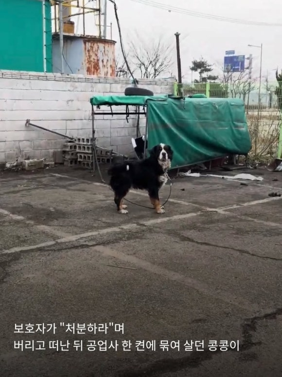8cd2709186656.png