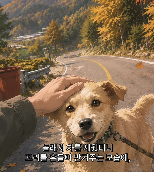 8f69dad97893f.png