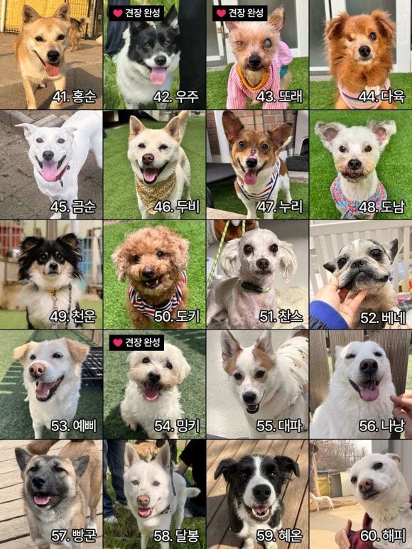 90fba417a679a.png
