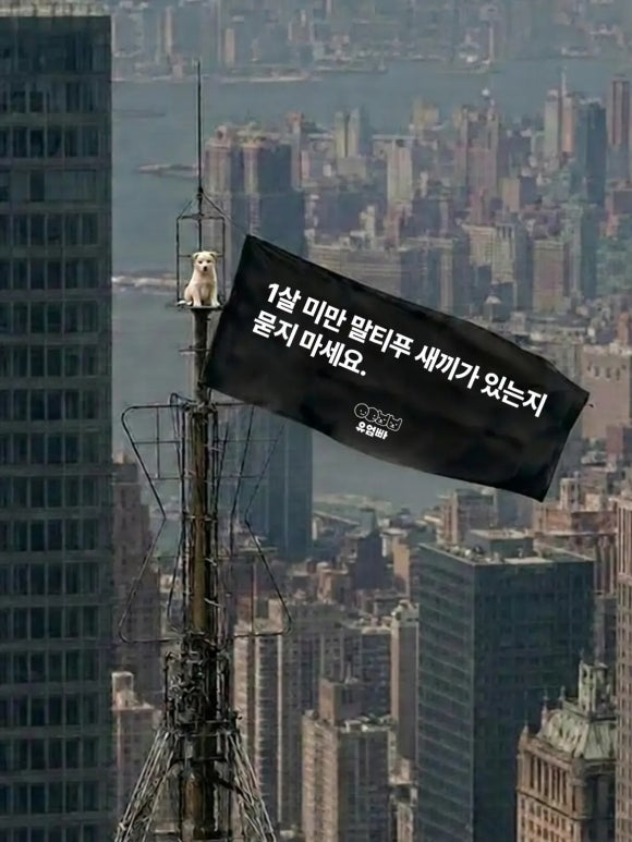 93339ce5f2fb6.png