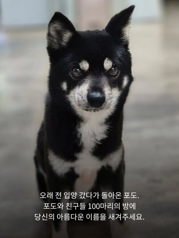 995e079a9f447.png