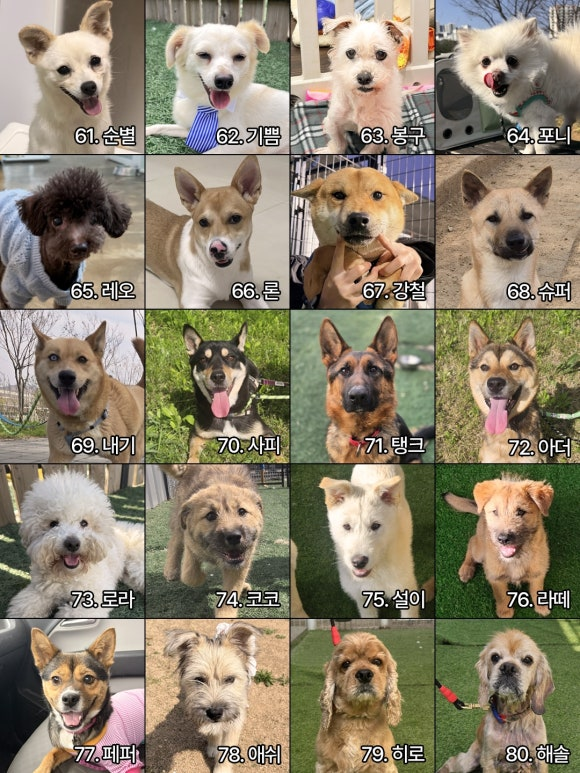 9a949d07221de.png