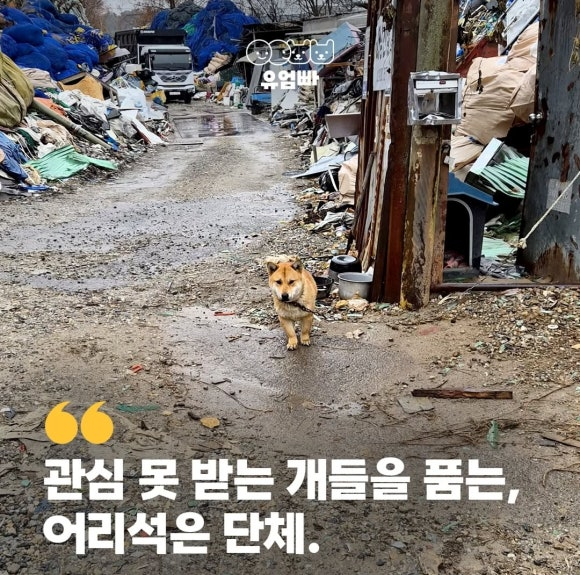9c40054acb69b.png
