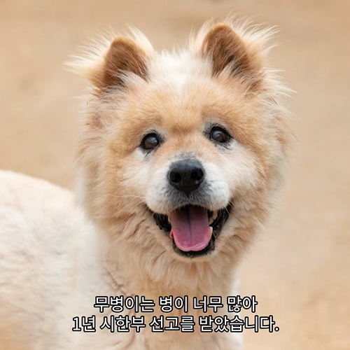 9ec57292e806c.png