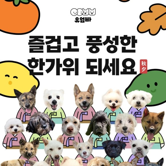 a1d7d84002ffe.png
