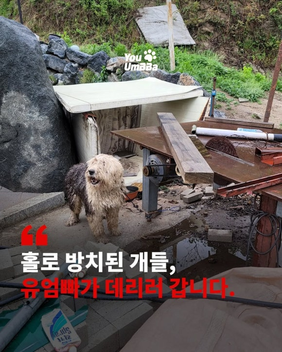 a2cee7d1704fa.png
