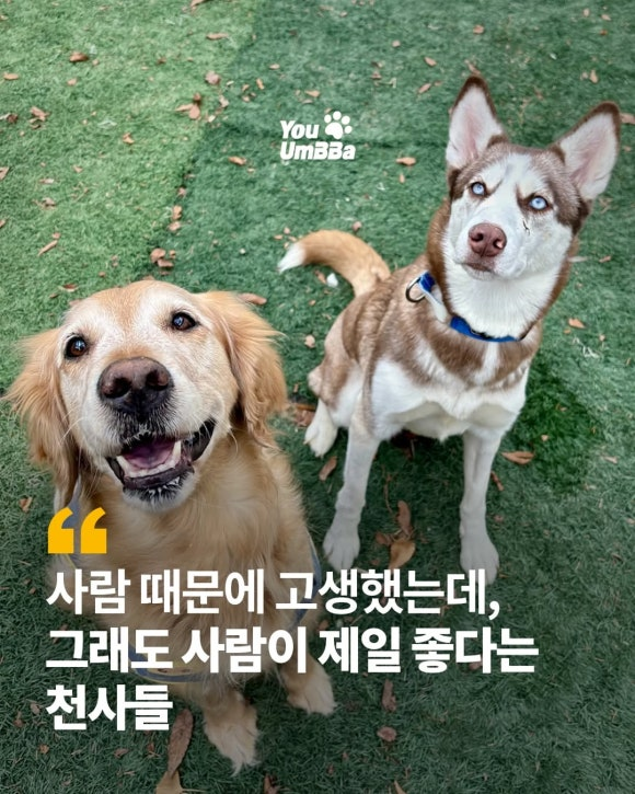 a39f5f8887037.png