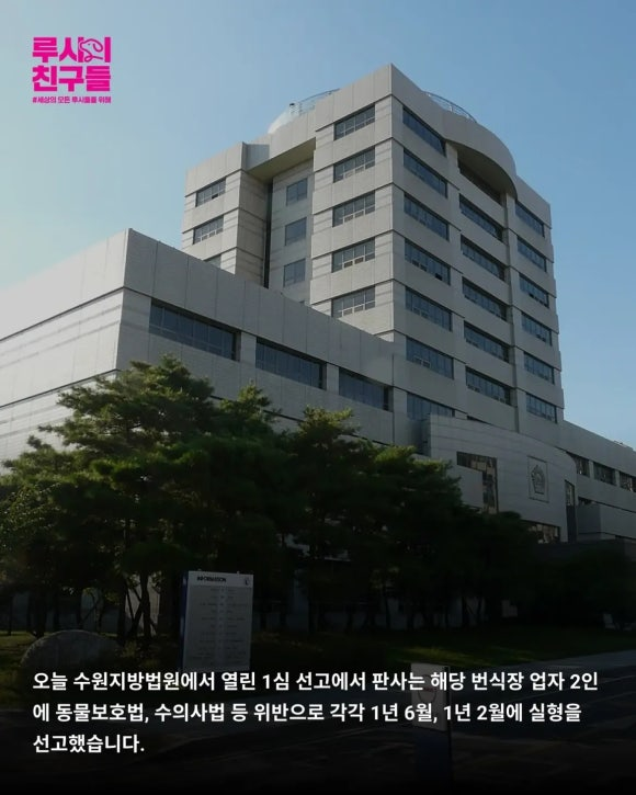 a4d12b0676680.png