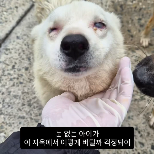 a51fdbe78a0b0.png